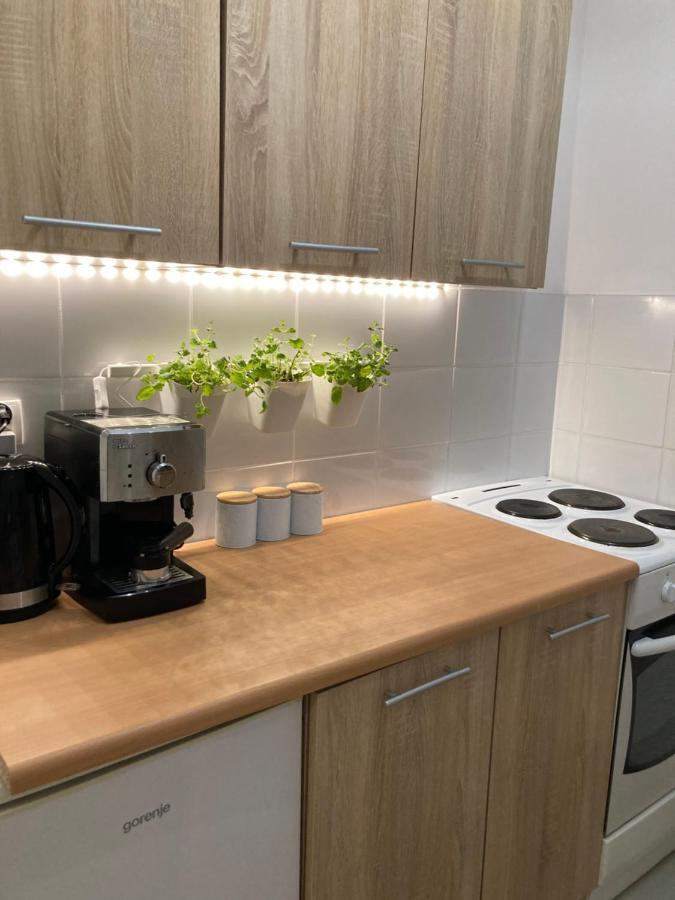 Mietowy Zakatek Apartment Klodzko Bagian luar foto
